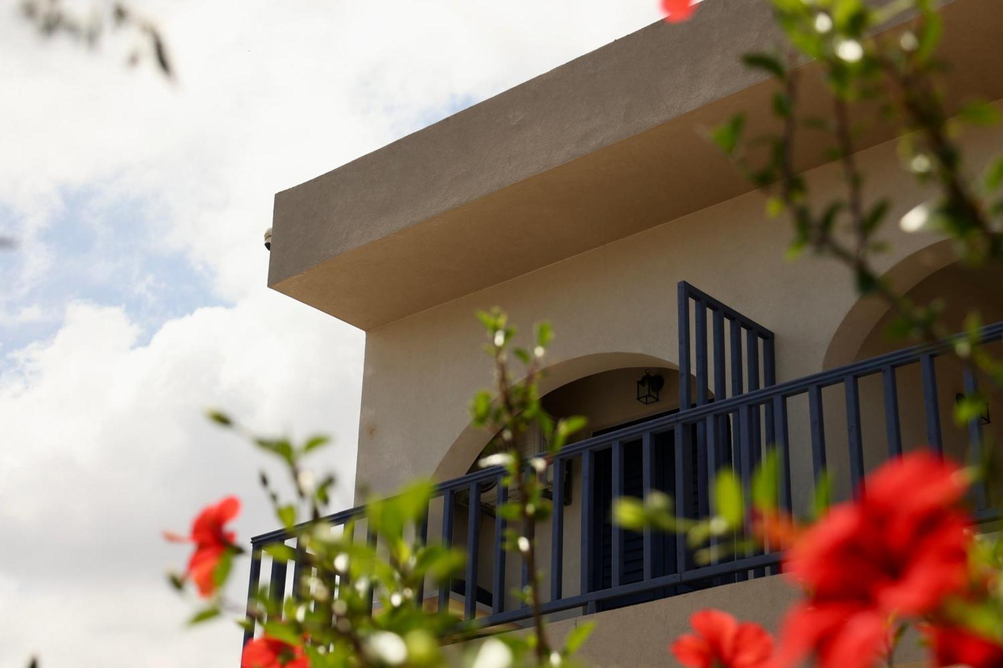 Cretanvibes Apartments 赫索尼索斯 外观 照片